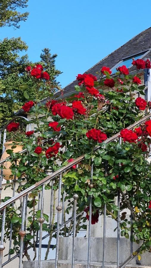Domaine La Garenne Bed & Breakfast Reilhaguet Bagian luar foto