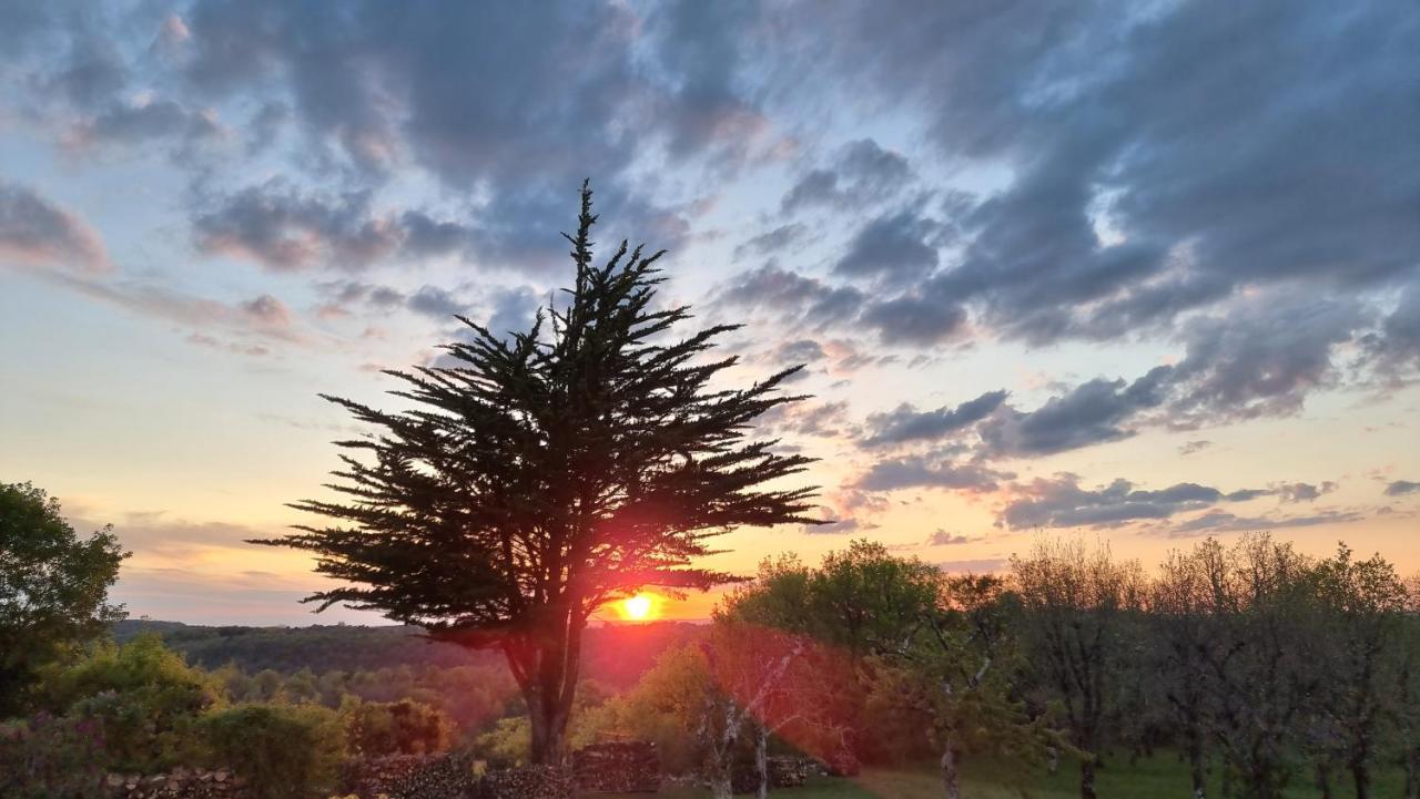 Domaine La Garenne Bed & Breakfast Reilhaguet Bagian luar foto